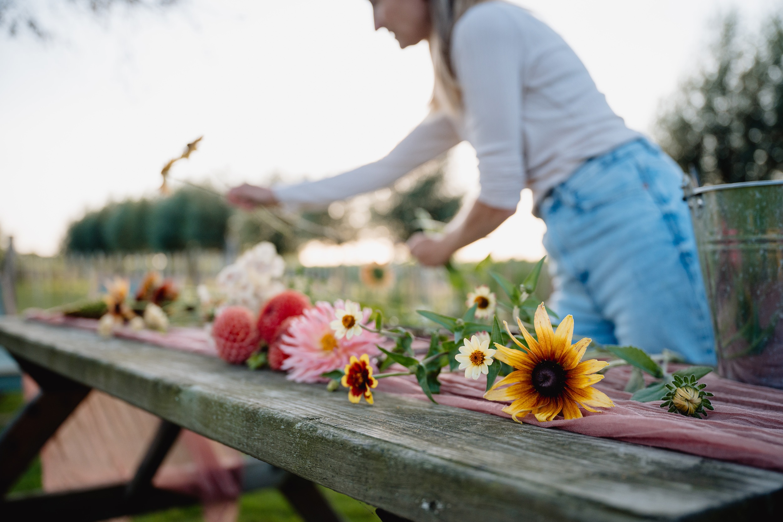 Pluktuin Zelfpluk Cadeau Bloemen Seizoensbloemen Boeket Beleving