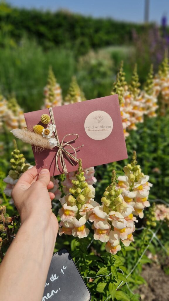 Cadeau Cadeabon Zelfpluk Bloementuin Seizoensbloemen Lokaal