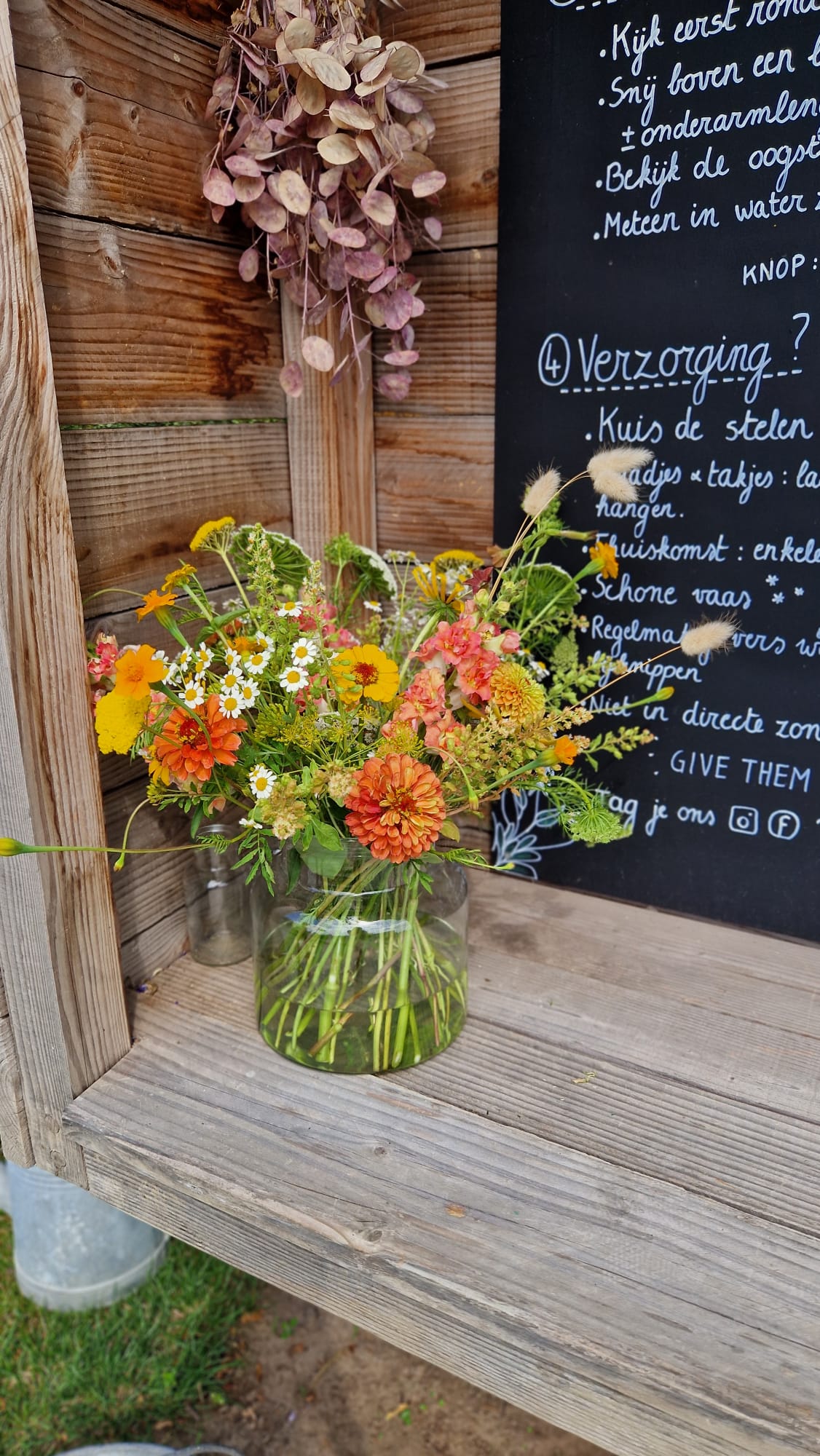 Pluktuin Zelfpluk Cadeau Bloemen Seizoensbloemen Boeket Beleving