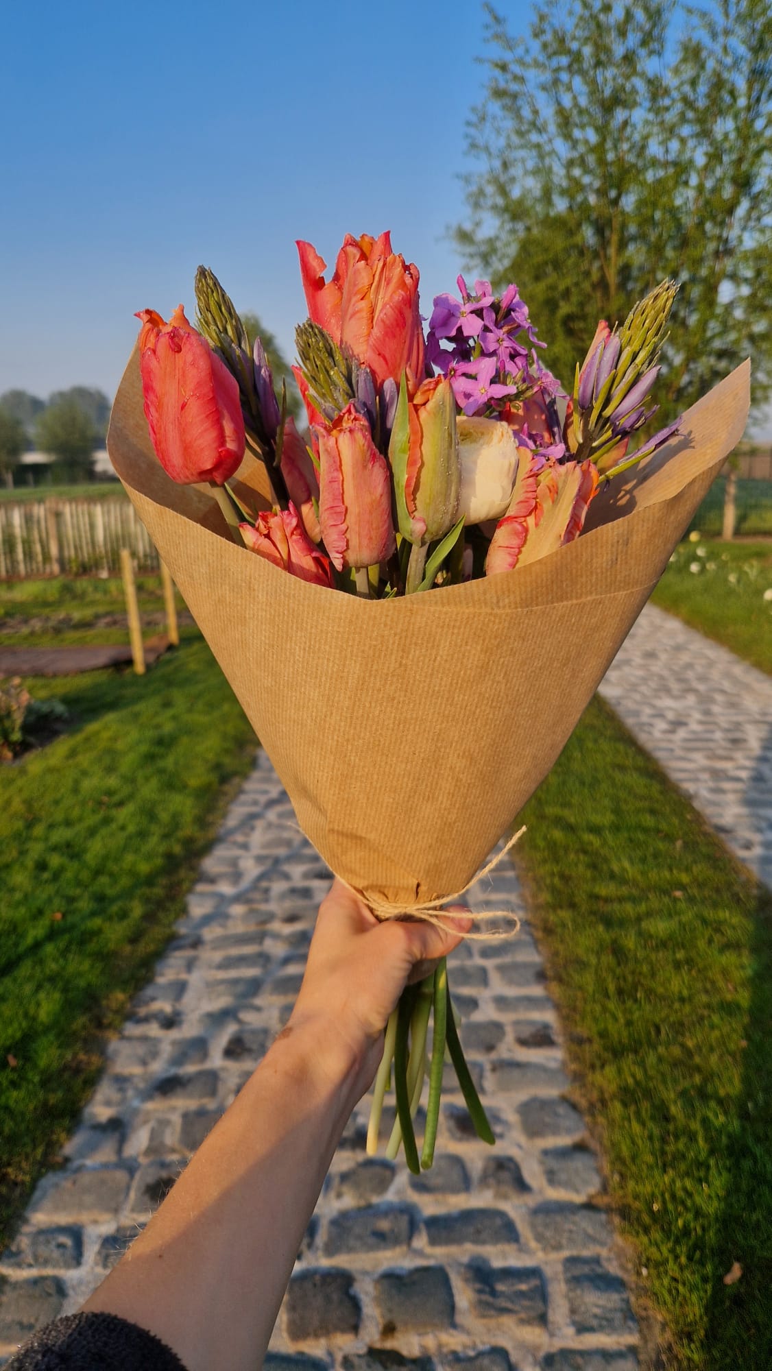 Pluktuin Zelfpluk Cadeau Bloemen Seizoensbloemen Tulpen Boeket Beleving