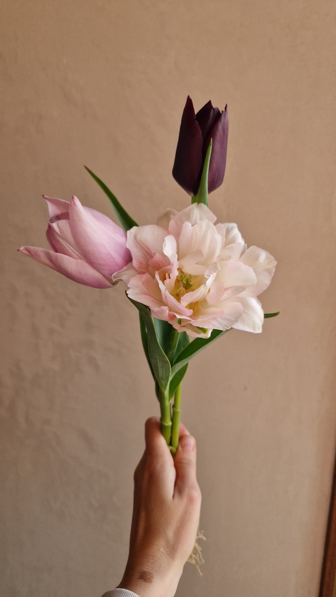 Pluktuin Zelfpluk Cadeau Bloemen Seizoensbloemen Tulpen Boeket Beleving